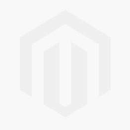 New Believer's Bible NLT (Softcover) - Softcover