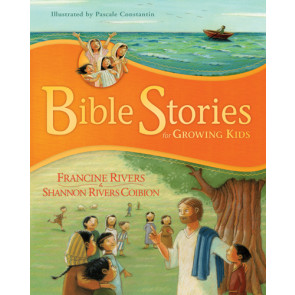 Bible Stories for Growing Kids - Hardcover