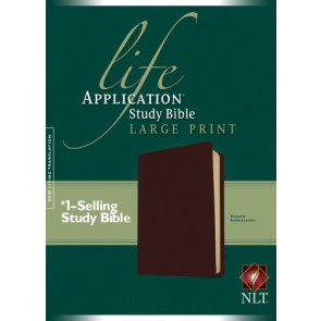 NLT Life Application Study Bible, Second Edition, Large Print (Red Letter, Bonded Leather, Burgundy/maroon) - Bonded Leather Burgundy With ribbon marker(s)