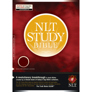 NLT Study Bible (Red Letter, Bonded Leather, Burgundy) - Bonded Leather Burgundy With ribbon marker(s)