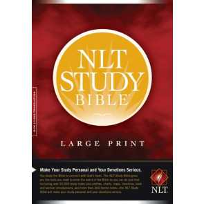 NLT Study Bible Large Print (Red Letter, Hardcover) - Hardcover