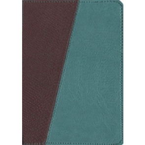 Message Compact, Python (Leather-Look, Brown/Teal) - Leather-Look Teal/Brown Python/Teal With ribbon marker(s)